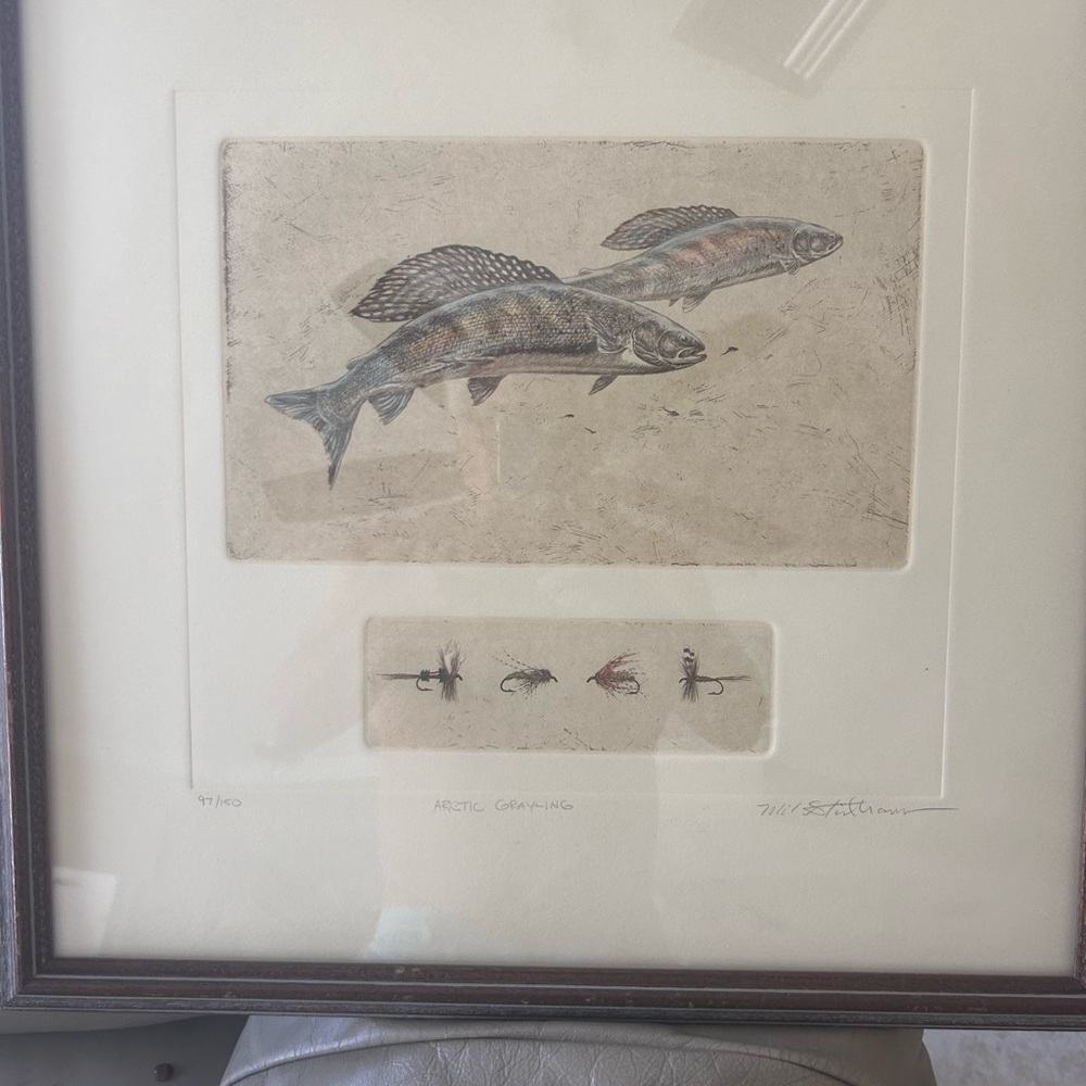Michael Stidham Arctic Grayling Fish hand colored etching.